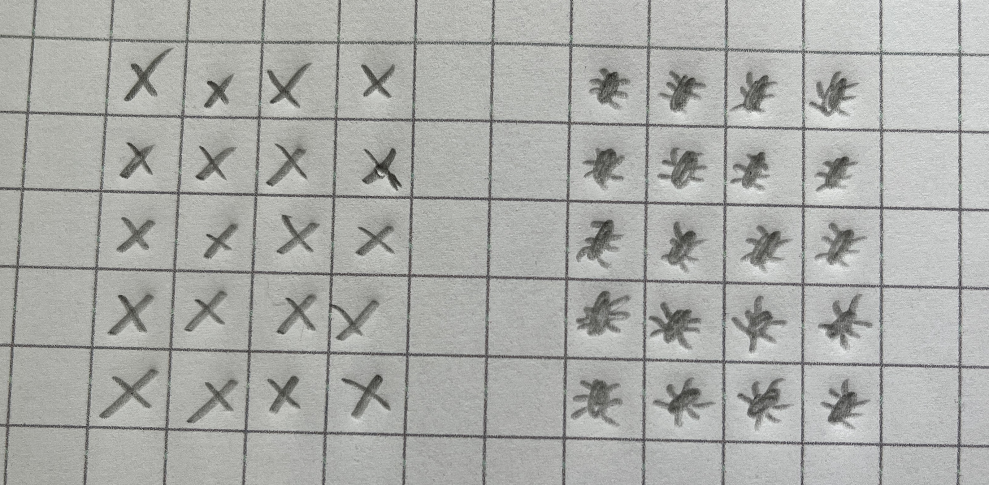 Cross marks made in boxes in pencil