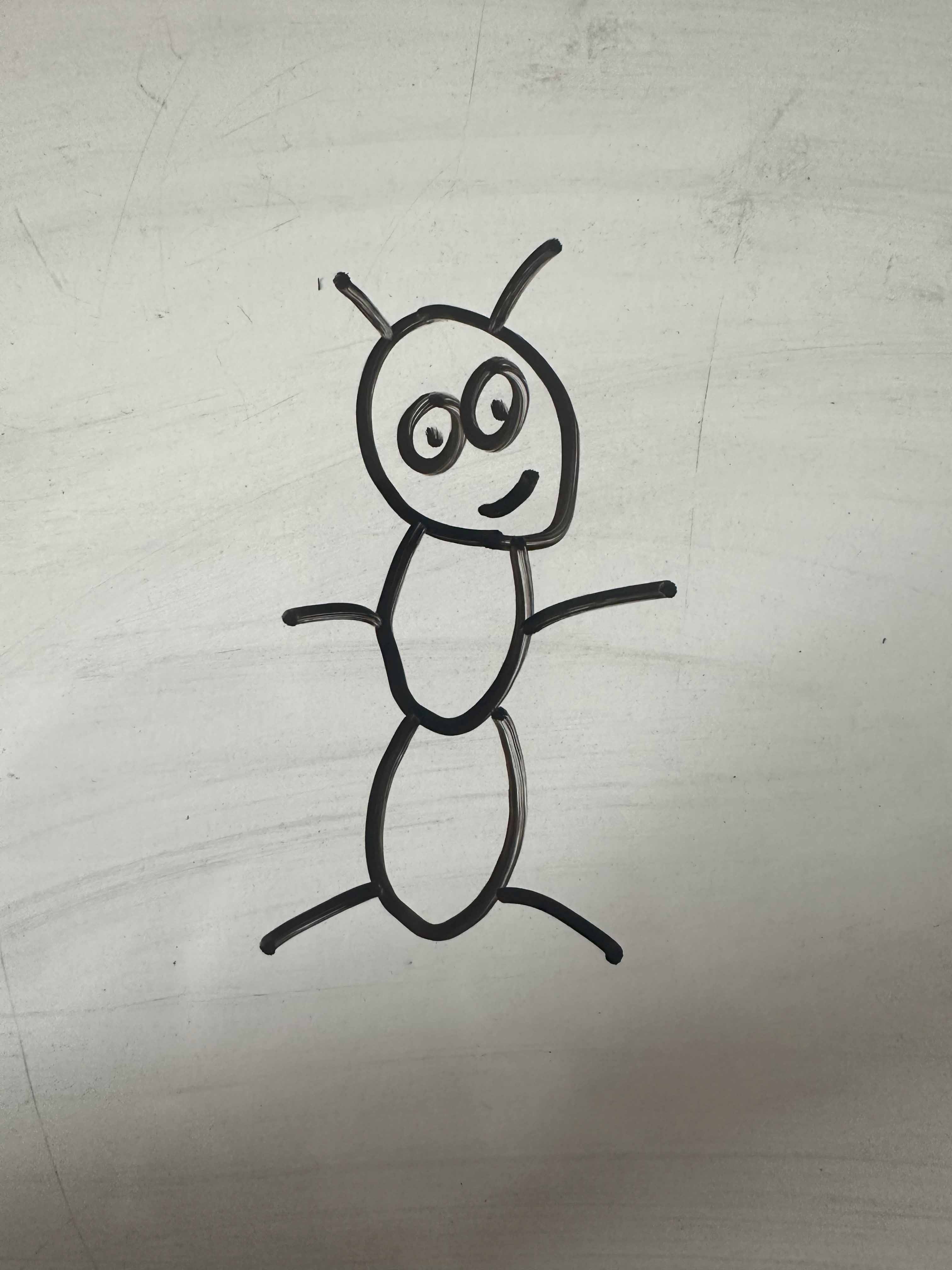 Drawing of an ant