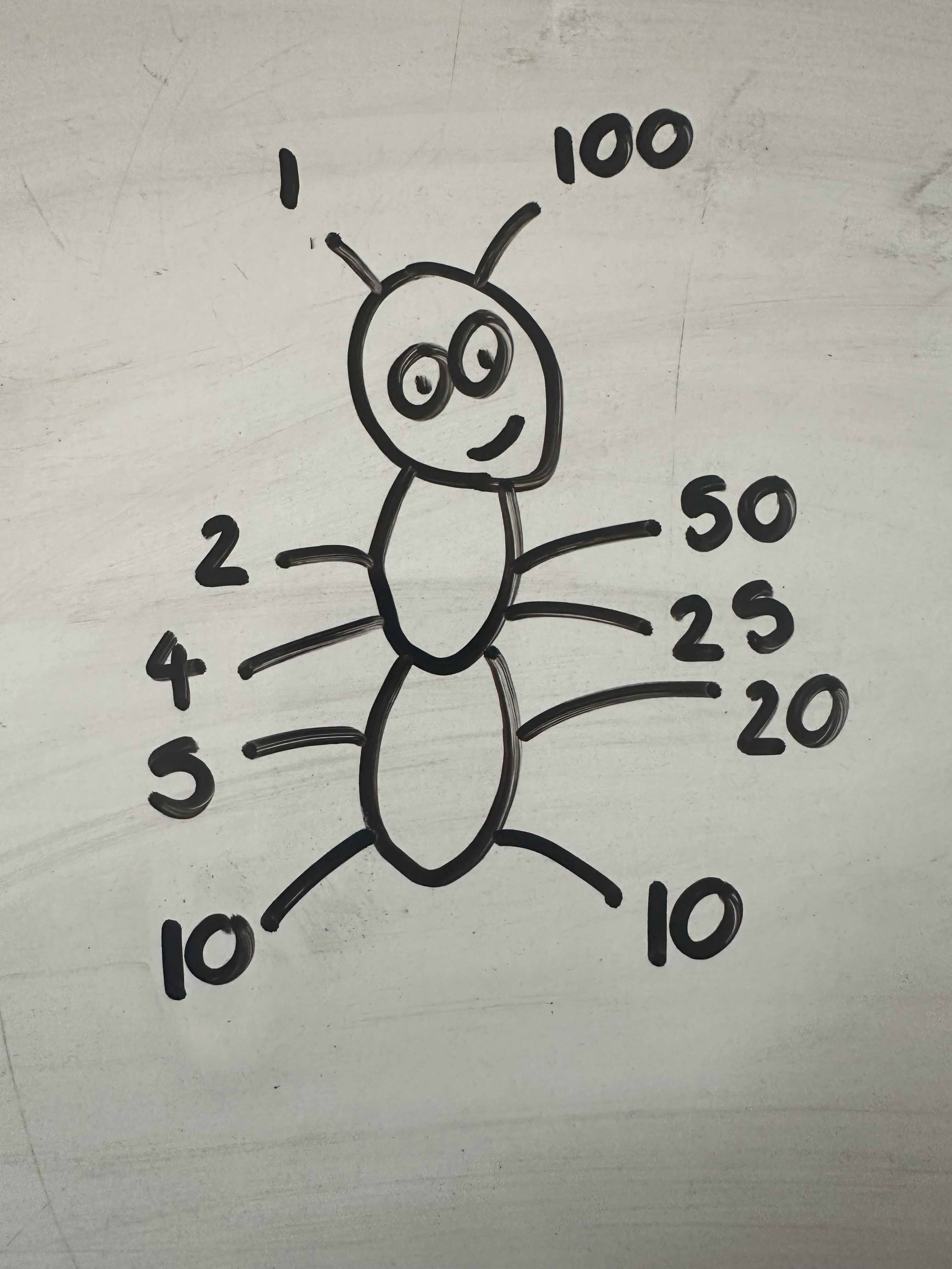 Drawing of an ant with numbers