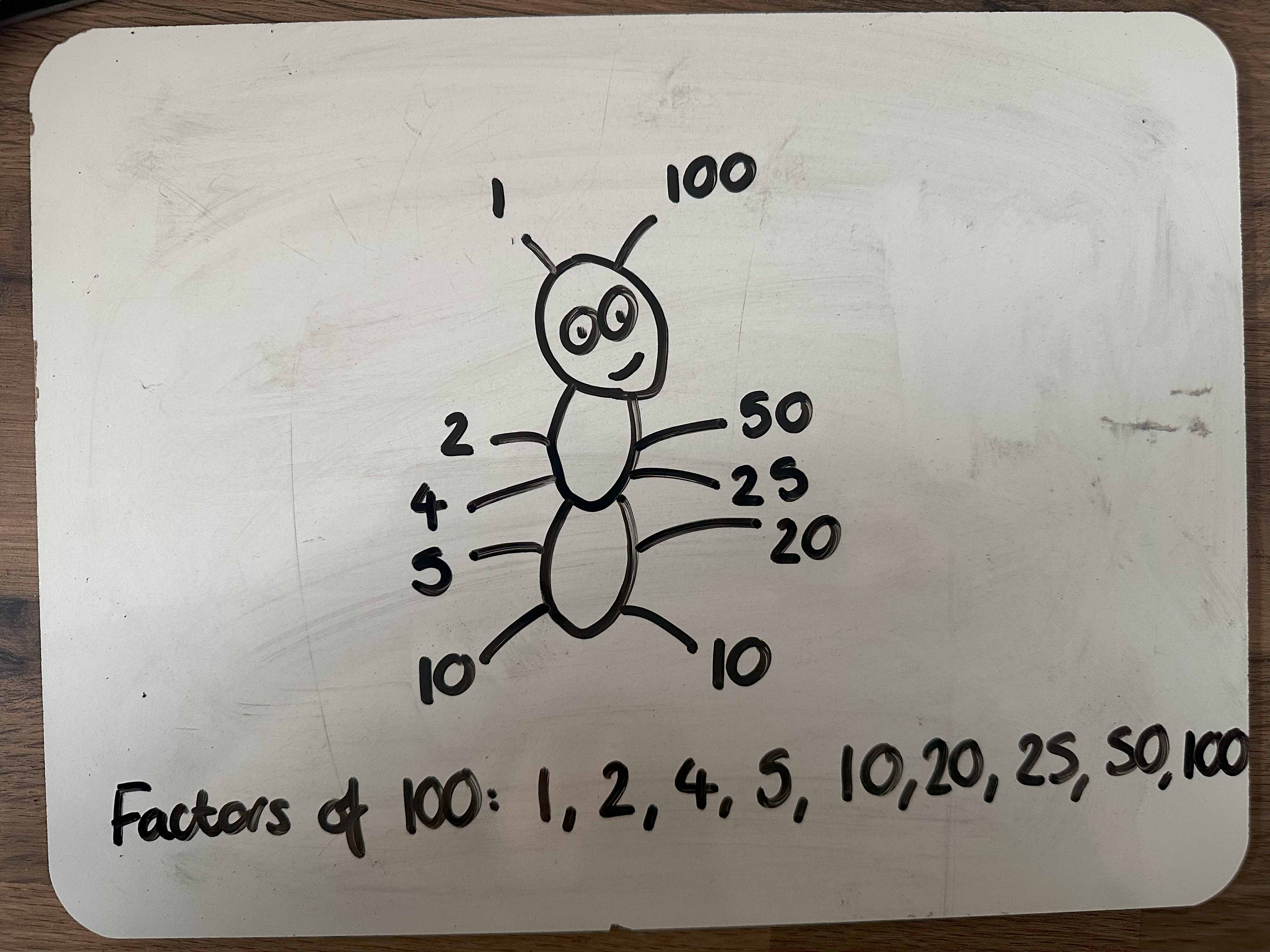 Drawing of an ant with numbers