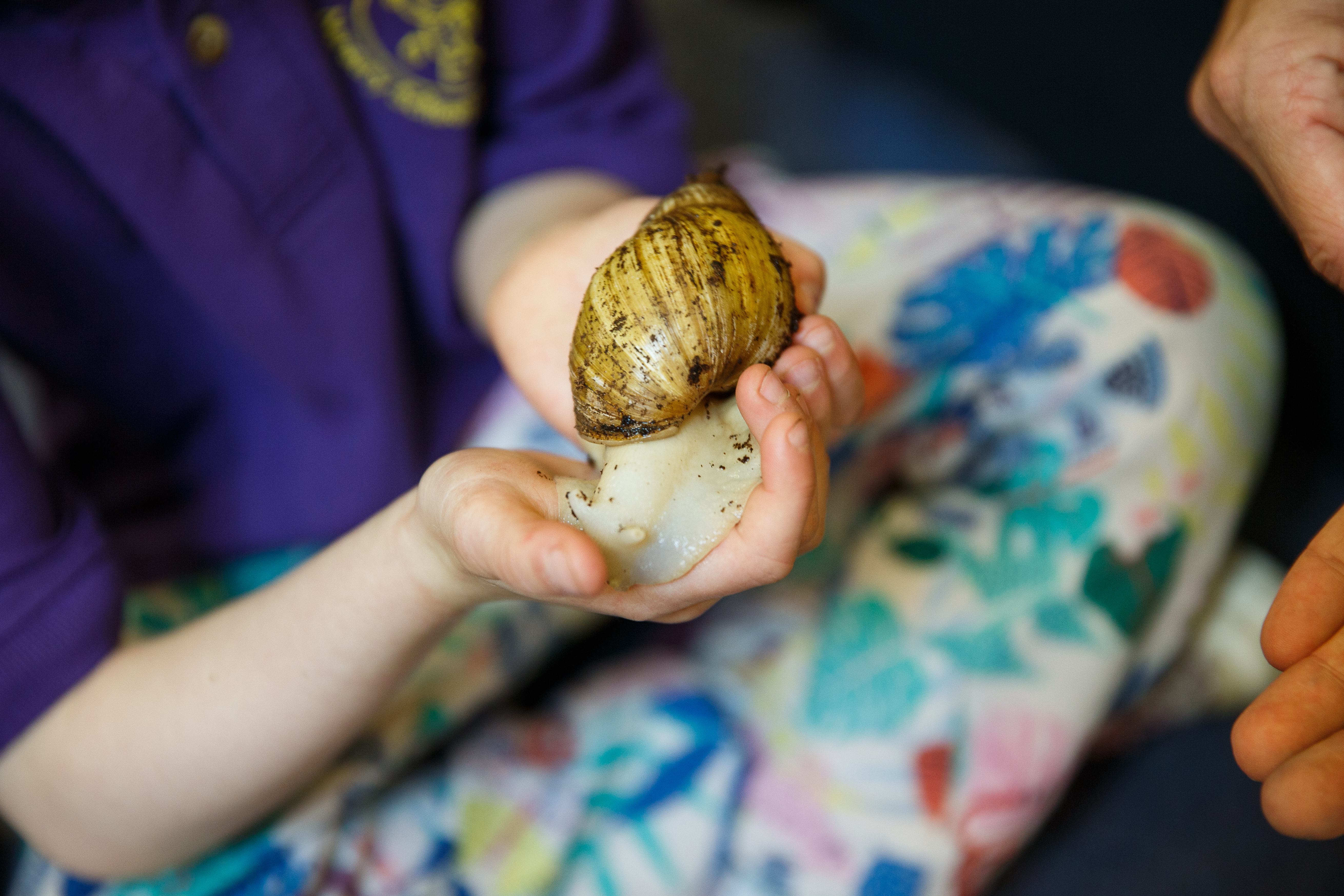 large snail in childs hands