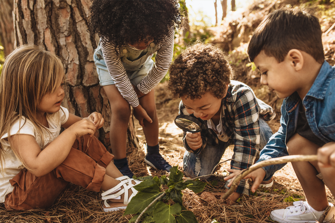 Early Years children playing in woodland 