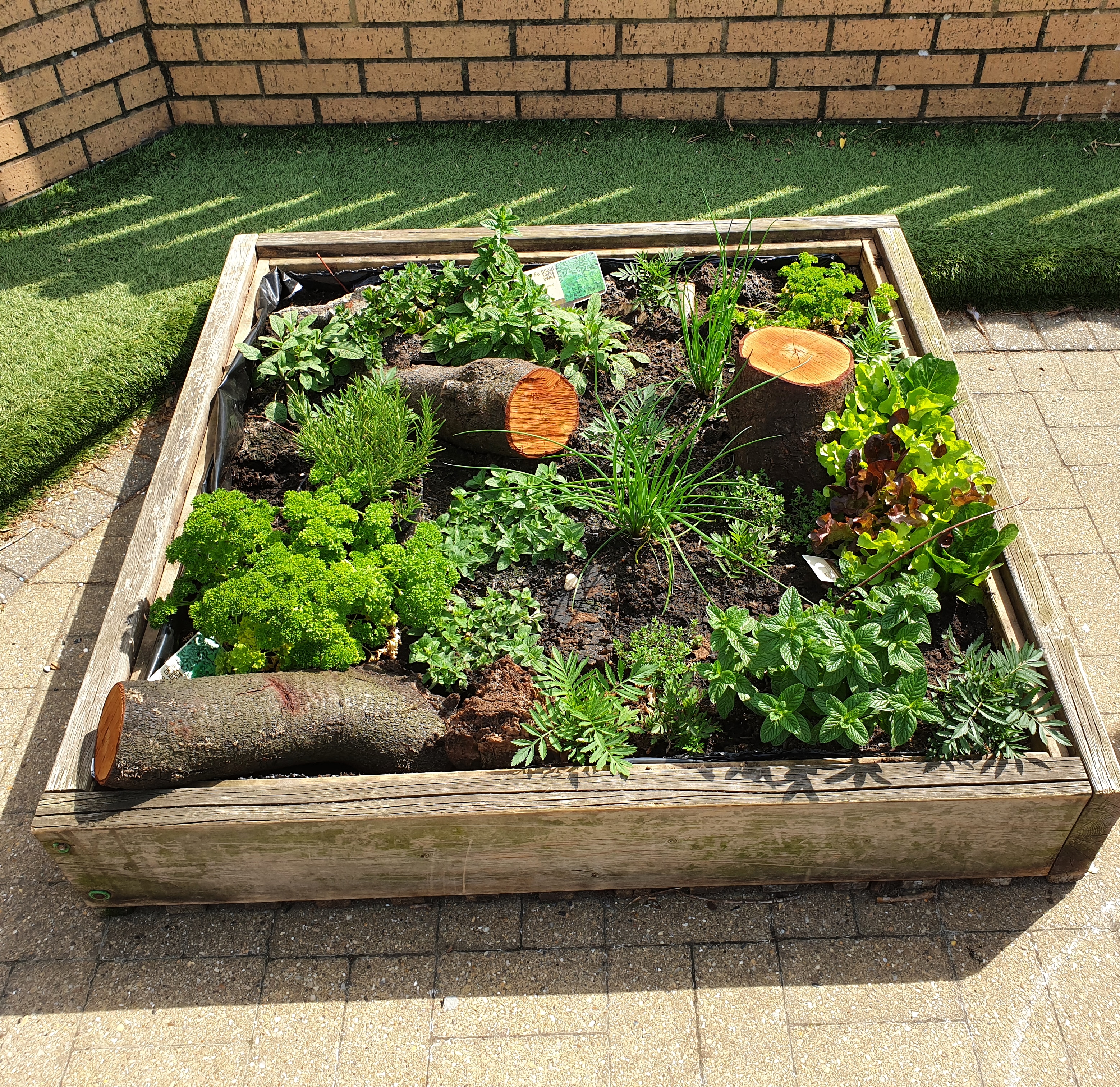 Vegitable garden raised bed