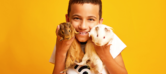 Child holding pets on yellow background