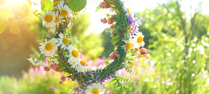 Flowers in field