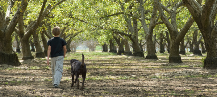 Child and dog in woods