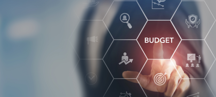 "Budget"