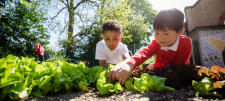 Transitioning from reception: Year 1 readiness in science Children playing outside with vegetables